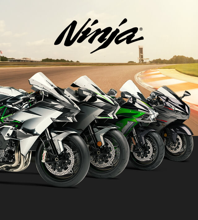 Ninja FAMILY: Ninja SMALL IMAGE